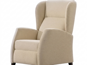SILLÓN ACOMPAÑANTE