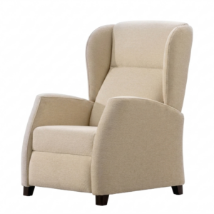 SILLÓN ACOMPAÑANTE