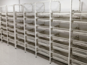 CONJUNTO DE RACKS